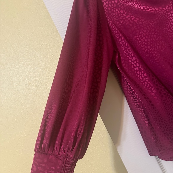 Fancy Magenta Blouse - Picture 2 of 6